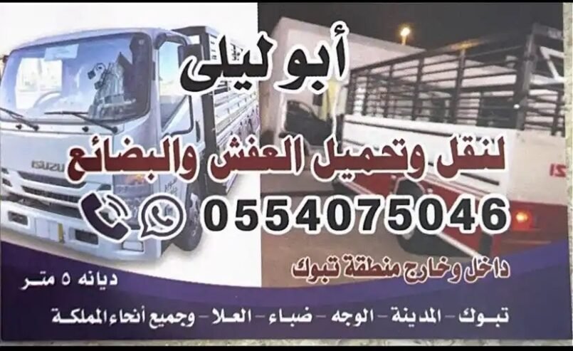 دينه