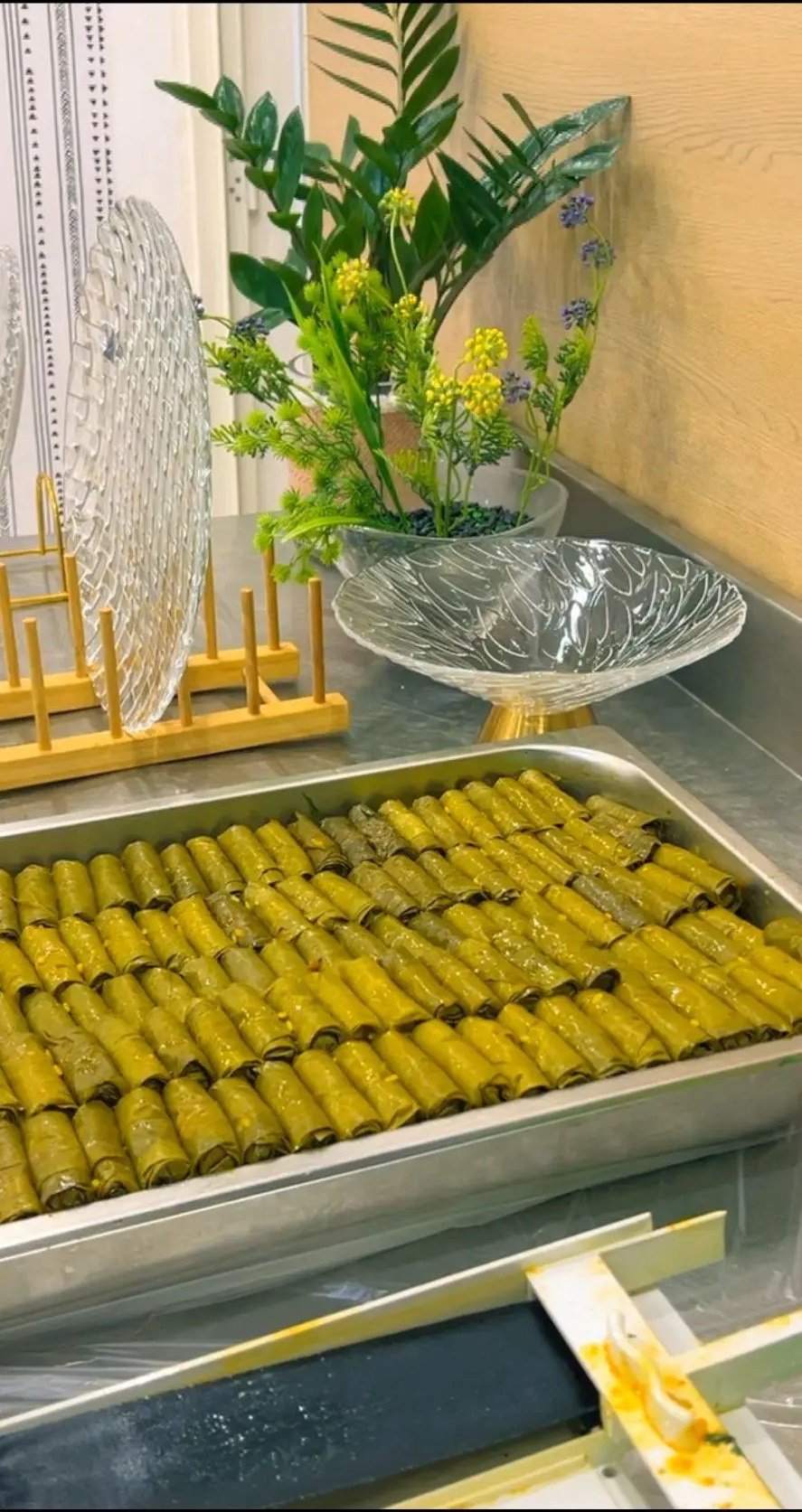 لف ورق عنب ب اقل سعر