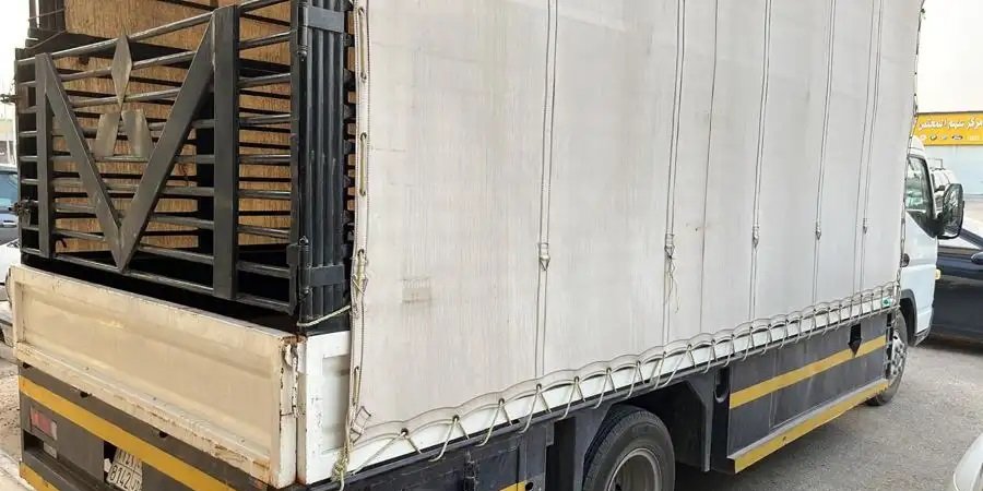 دينا مستوبيشي