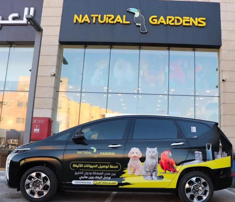 ثعلب فنك فوكس لعشاق النوادر