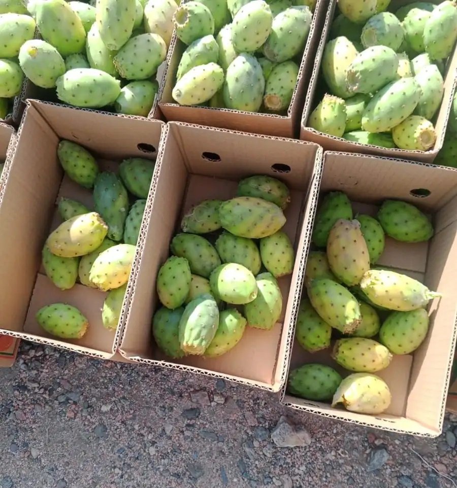 للبيع برشومي نظيف و حبات ممتازه