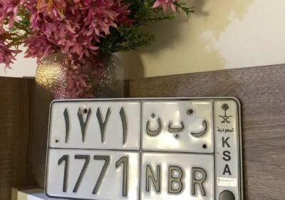 1008x1792_7FEA6C7B-1E60-489A-9AA3-081F80E96C99.jpg-900