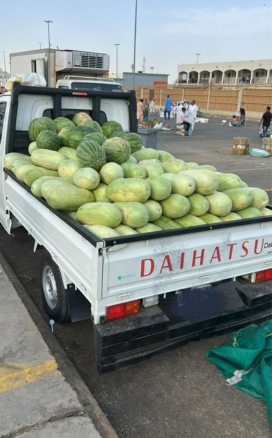 حبحب 100 حبه سعر جمله