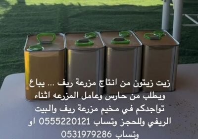 1012x1800_9F5A98D0-8F50-45E1-B497-778ADB63467D.jpg-900