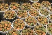 برشوم للبيع