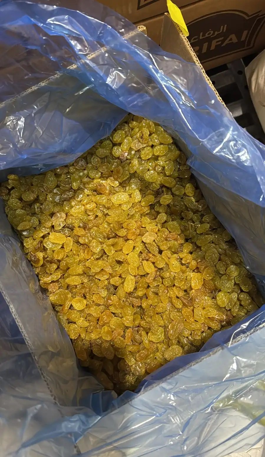متاح زبيب ذهبي جامبو ( تشيلي ) الكرتون 10 كيلو البيع للجملة