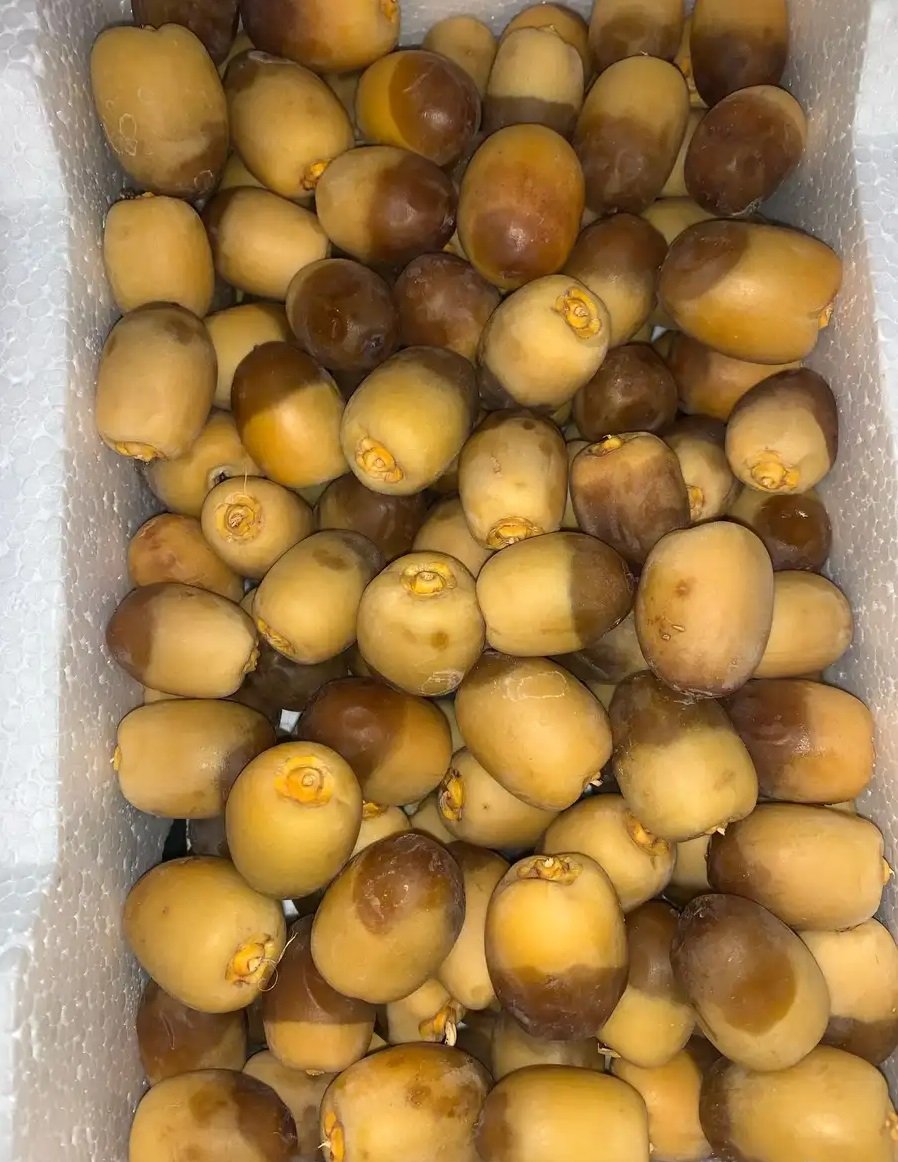 روثانه مناصيف فاخره من مزارع قباء