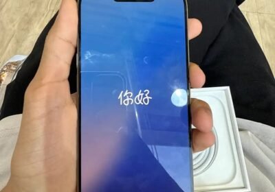 1350x1800_27217A28-3DC6-4375-B23F-A6CDEAD5E96D.jpg-900