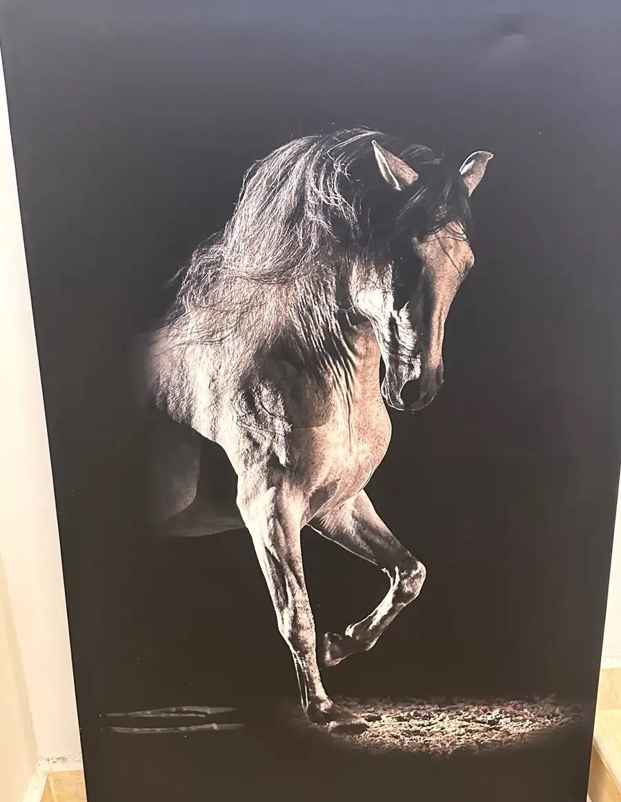 لوحة خيل للبيع