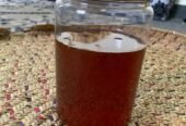 عسل سدر حضرمي(البغية)