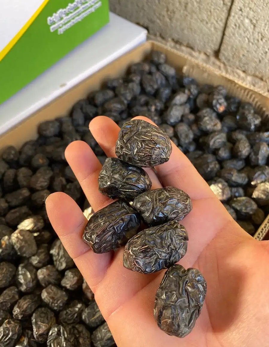 عجوة المدينة