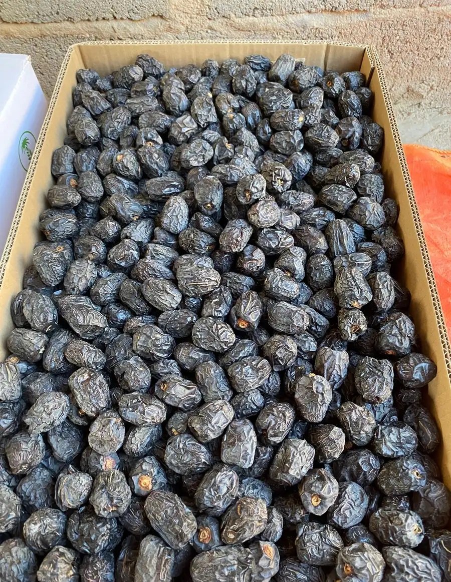 عجوة المدينة