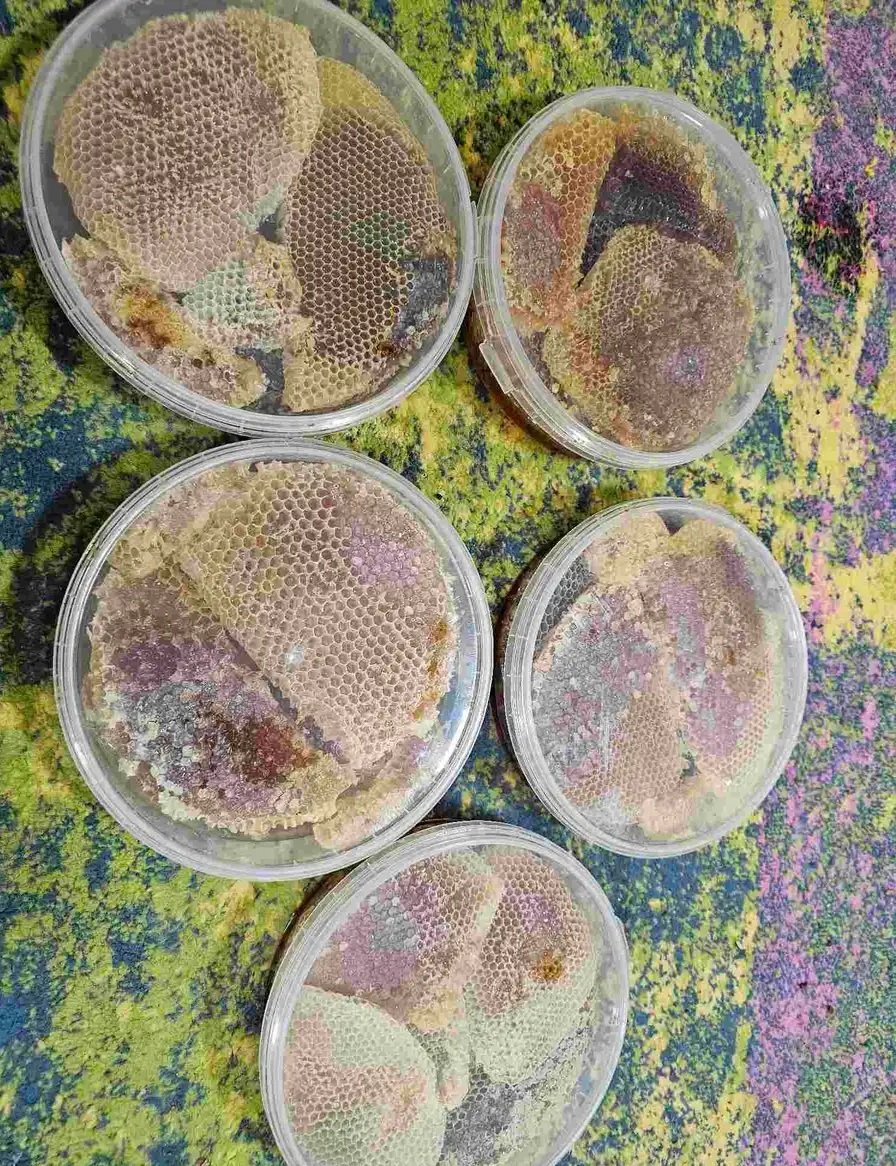 أقراص عسل الرياض