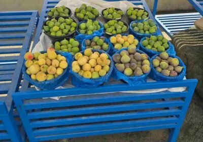 1500×2000-1_-wP0A8v7GQOMaGW.jpg-900