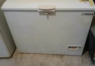 1530×2040-1_-lmOtoDHqAnVOoU.jpg-900