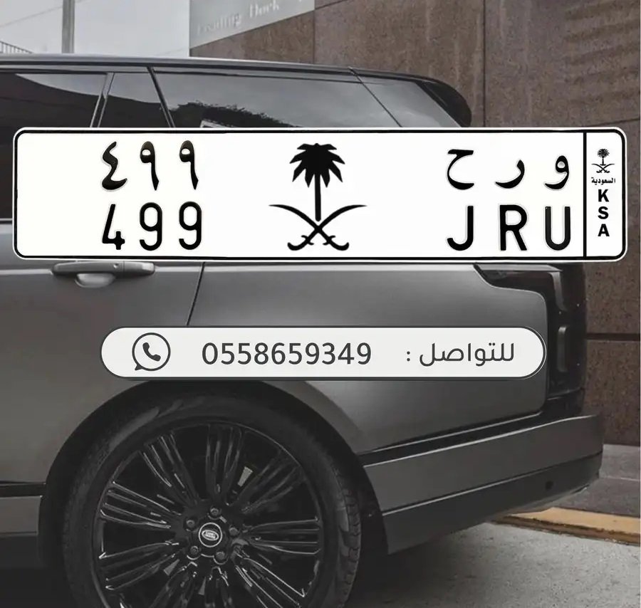 لوحة مميزة 499 بسعر مميز