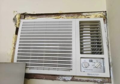 2000×1500-1_-SitkaaqbPKK6jo.jpg-900