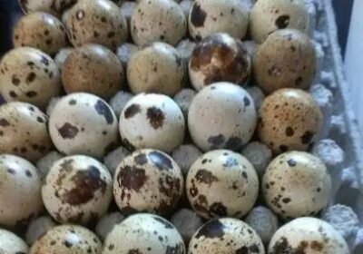 406x720_8DFAC95F-2765-4F46-A4D7-5DD9A723CA5A.jpg-900