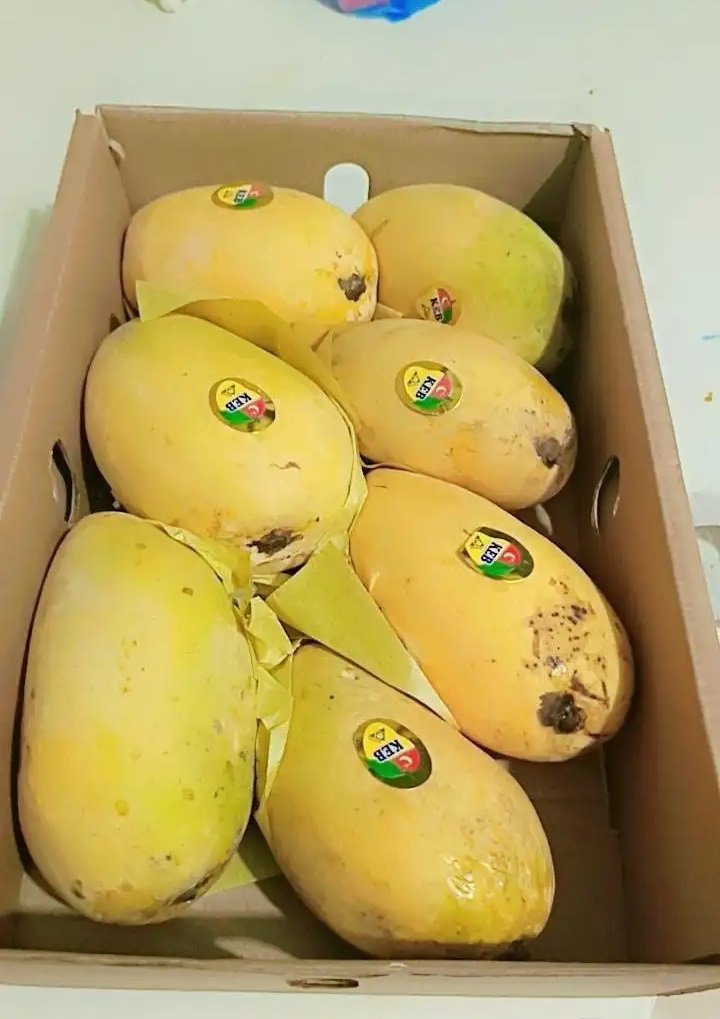 مانجا باكستاني طازج للطيران