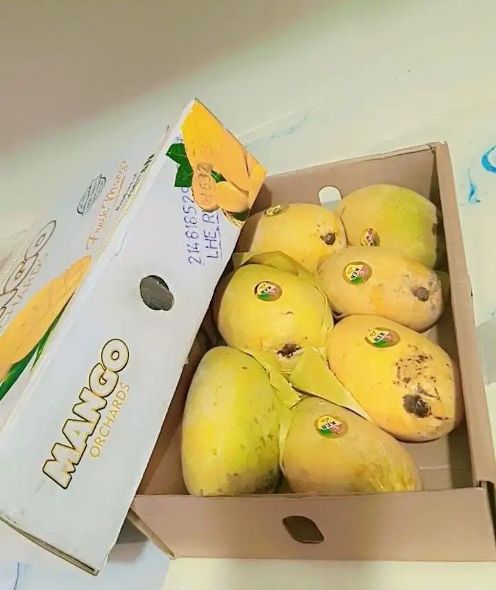 مانجا باكستاني طازج للطيران