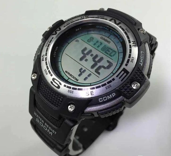 Casio SGW-100