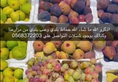 832x1800_52D56A7E-9ABC-4ADD-A049-D5E8175197B5.jpg-900