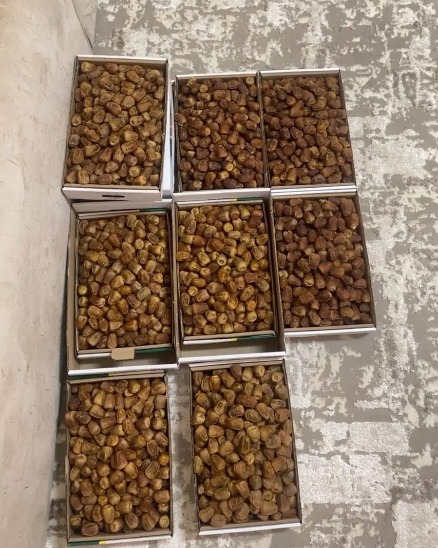 تمر سكري مفتل ملكي و تمر سكري جلكسي