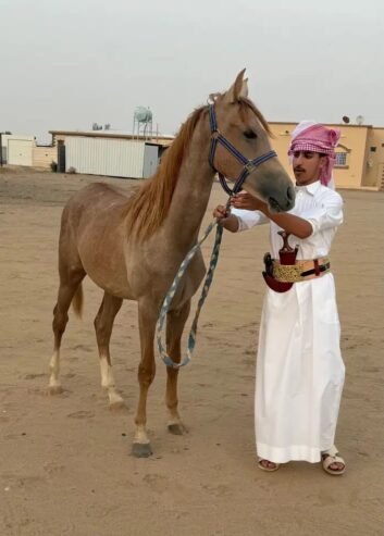 مهر