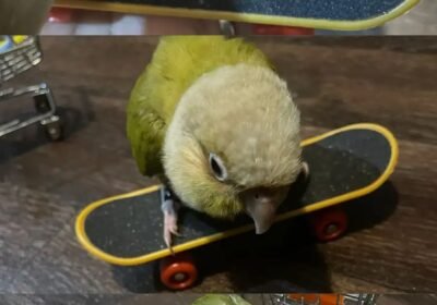 1013x1800_922A6483-622B-4F93-9E39-BFFEC3050589.jpg-900