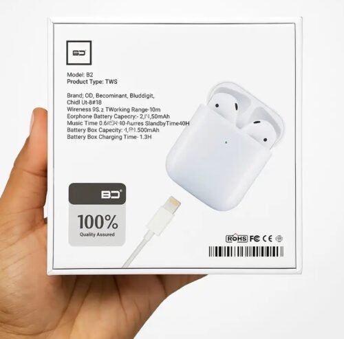 BD2 TWS Airbuds