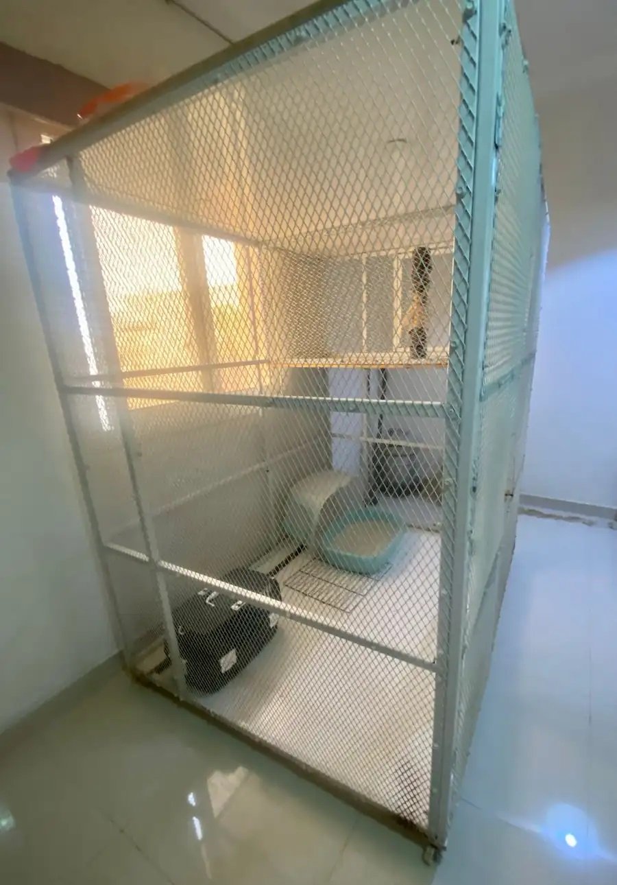 قفص للحيوانات