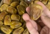 يابلاش تمر القصيم سكري الكمية مفتوحه ذهب ماشاءالله