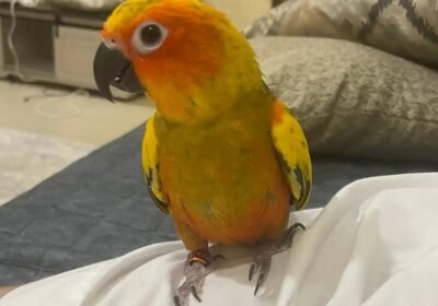 1350x1800_22F6F0D9-83BD-4BC0-B904-A9ABC974ADC3.jpg-900