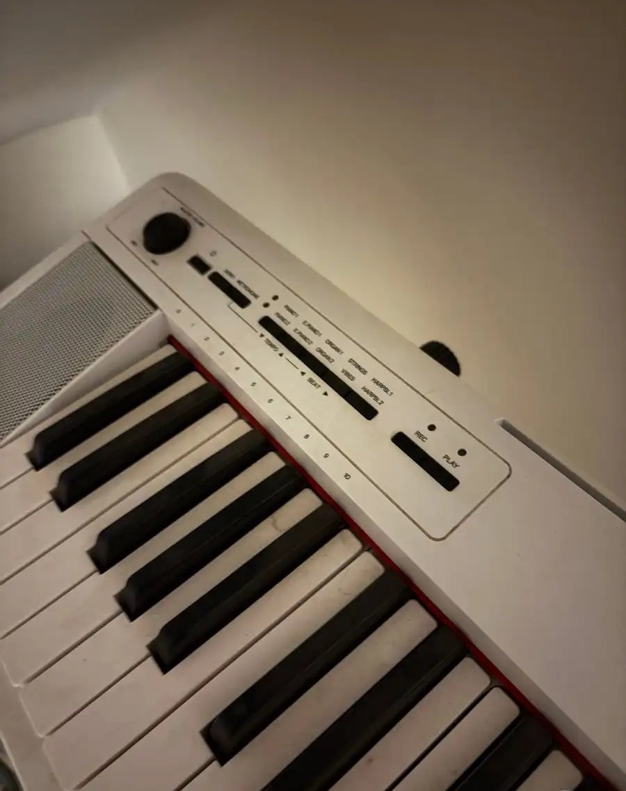 اورق ياماها (YAMAHA ) أصلي