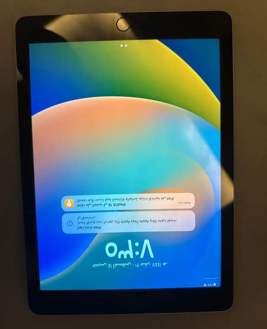 ايباد الجيل السادس استعمال حشمة استعمال دراسة فقط