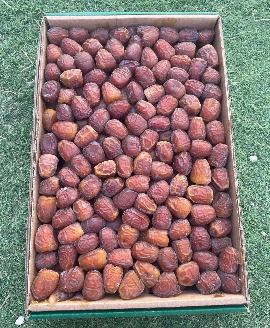 سكري جلكسي عضوي بدون كيماويات و سكري مفتل