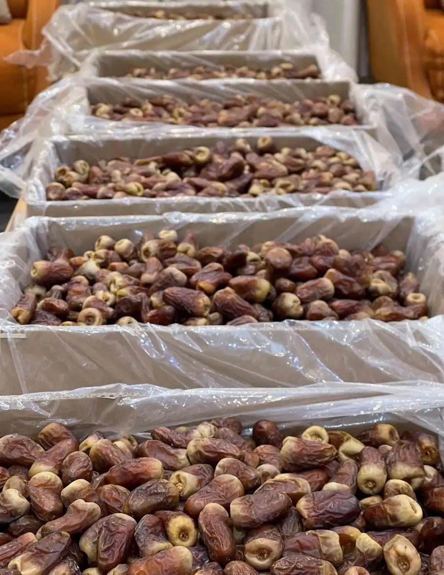 تمر برني كرتون حبه فاخر مطوقه