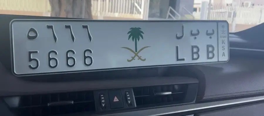 للبيع لوحه مميزه 5666