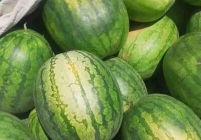 607x846_0C63CC6A-60AD-494D-A421-70688E8C54A2.jpg-900