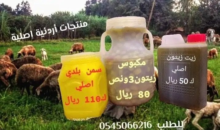 سمن وزيت وزيتون