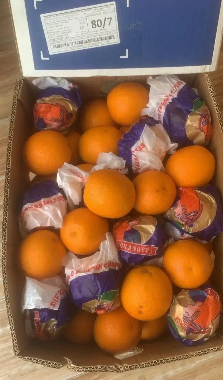 برتقال عصر .. … برتقال ابو صره اسعار جمله