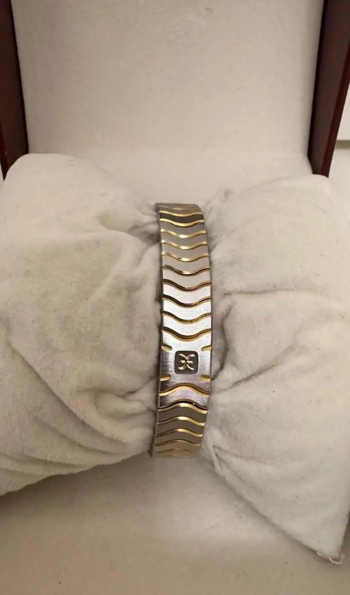 ساعة ايبل ستيل وذهب