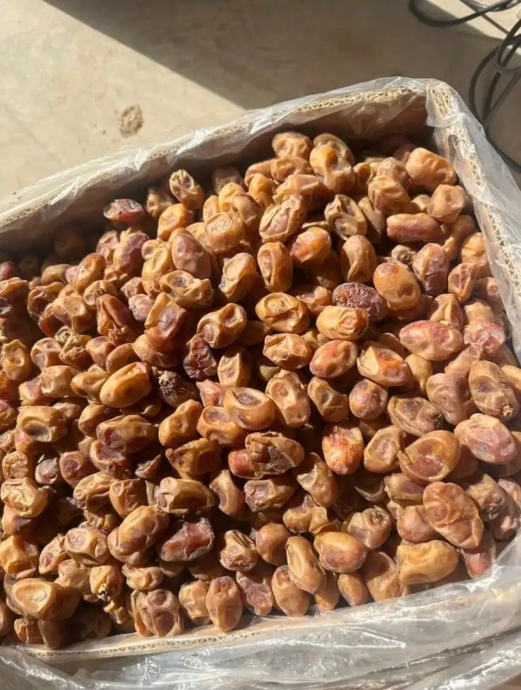 تمر خلاص فاخر