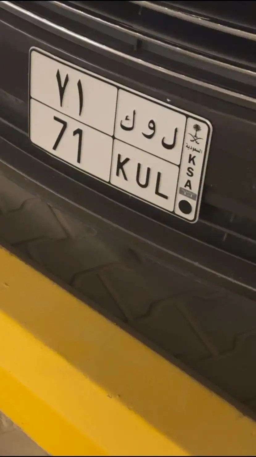 لوحة ثنائي مميزة للبيع ( ل و ك 71 )