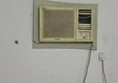 900x1600_512CD537-DC17-4BFC-803E-B63E9B8557AC.jpg-900