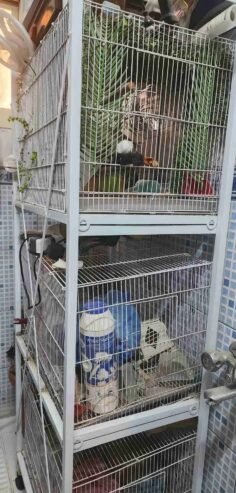 حامل اقفاص 601 نظيف بكامل ملحقاته