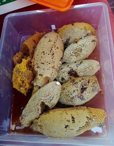 عسل بري جبلي ممتاز درجه اولى نوع العسل طلحه