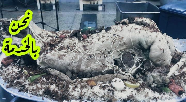 ولائم ومناسبات جازان