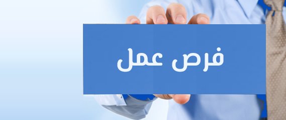 شركة أمنية رائده في مجال الحراسات الامنية تقدم عروض في تأمين