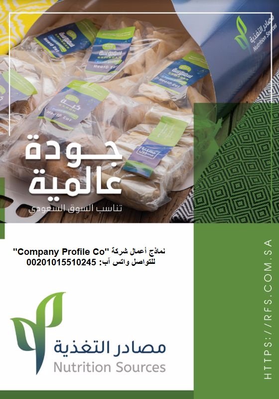 قصر الشركات – أفضل شركة تصميم بروفايل شركات في العالم العربي